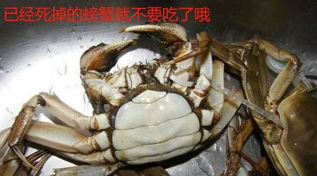 蒸螃蟹需要多長時間才能熟，螃蟹需要蒸多長時間？圖4