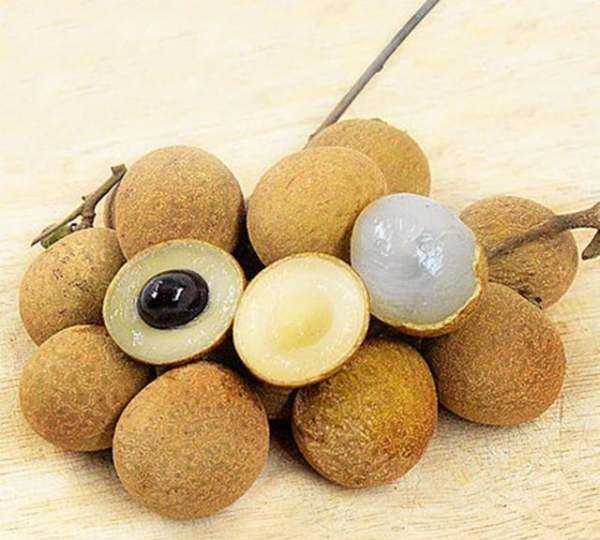 儲(chǔ)良和石硤最大的區(qū)別,石硤龍眼和儲(chǔ)良龍眼的區(qū)別是什么圖2