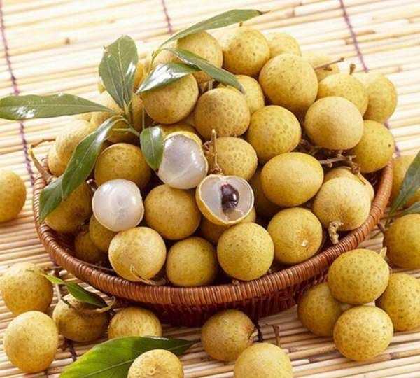 儲(chǔ)良和石硤最大的區(qū)別,石硤龍眼和儲(chǔ)良龍眼的區(qū)別是什么圖8