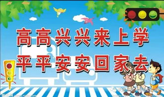 觀看安全知識觀后感