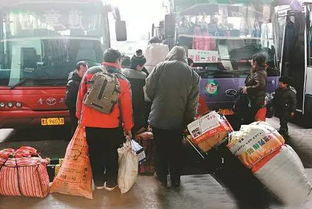 做長途汽車和火車安全知識(shí)