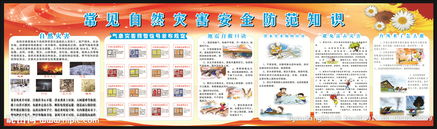 自然災(zāi)害安全知識題