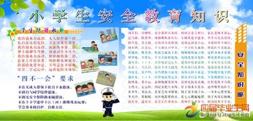 2018小學生安全知識網(wǎng)競賽