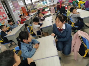 用電安全知識進校園活動報道