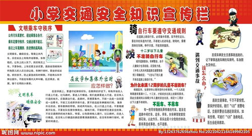 小學(xué)道路安全知識(shí)宣傳教育