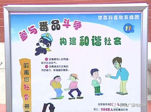 關(guān)于安全禁毒的知識(shí)
