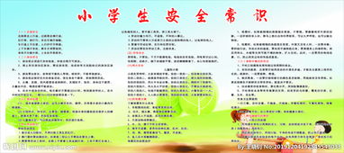 小學生安全知識報道
