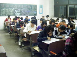 前進(jìn)小學(xué)組織的安全知識(shí)競賽