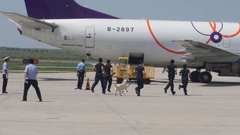 空防安全與航空安保知識(shí)