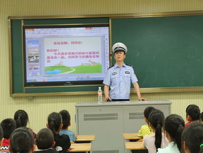 安全交通知識體會200字