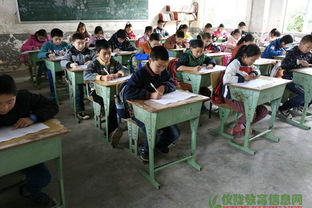 小學(xué)春季安全知識(shí)測(cè)試