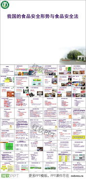 食品安全知識講座講稿ppt