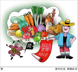 紅蟻蟲的安全知識