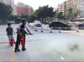 童子軍安全知識(shí)題