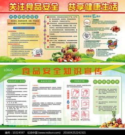 食品安全知識的板報設(shè)計