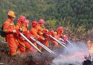 煉山用火安全知識