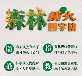 農(nóng)村清明節(jié)森林防火安全知識