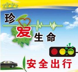 交通安全知識(shí)備課