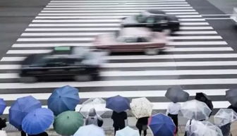 教練員的雨季安全行車知識(shí)