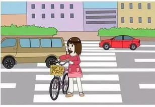 騎車出行交通安全知識(shí)培訓(xùn)