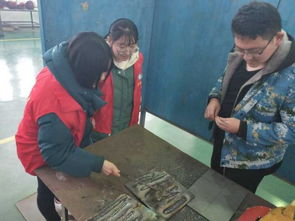 金工實(shí)習(xí)焊接安全知識