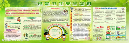 小學春季食品衛(wèi)生安全知識培訓