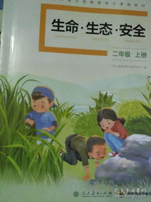 二級上冊生命生態(tài)安全知識(shí)點(diǎn)