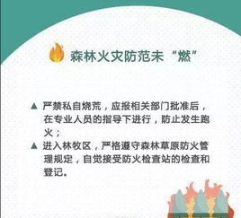 防山火安全知識(shí)資料