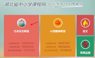 湖北省小學(xué)生生命安全知識(shí)