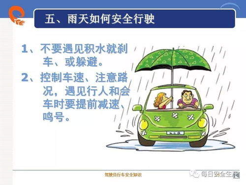 交通駕駛安全知識(shí)