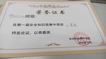 安全知識(shí)競賽獲得二等獎(jiǎng)