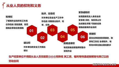 企業(yè)組織安全生產(chǎn)法律法規(guī)知識(shí)