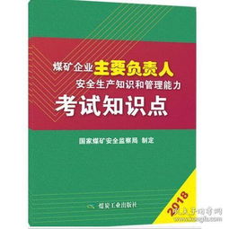 安全生產(chǎn)知識(shí)及管理能力情況