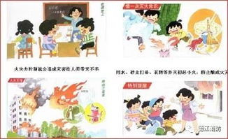安全知識(shí)論述