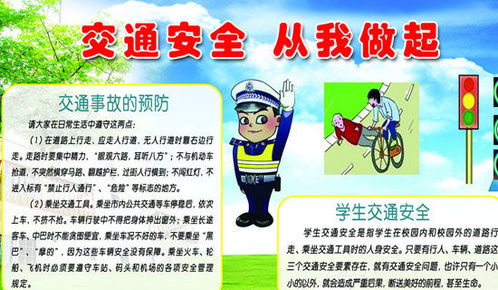 交通安全知識(shí)的作文