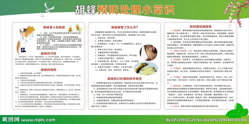 安全知識被黃蜂蜇傷