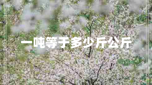 一噸等于多少斤公斤