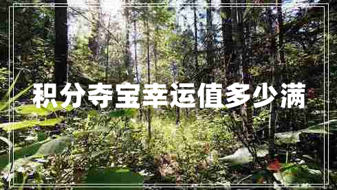 積分奪寶幸運值多少滿