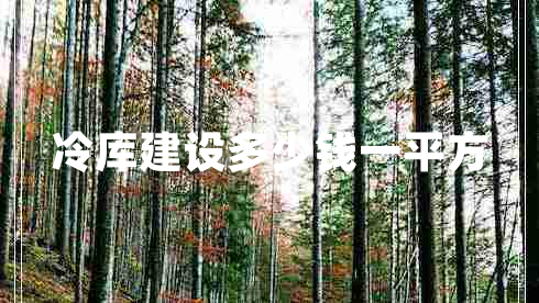 冷庫(kù)建設(shè)多少錢一平方