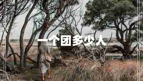 一個(gè)團(tuán)多少人