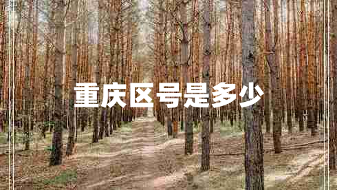重慶區(qū)號是多少