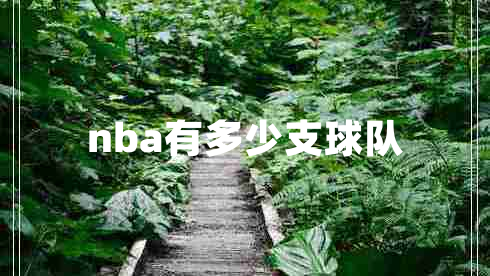 nba有多少支球隊(duì)