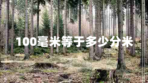 100毫米等于多少分米