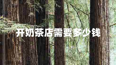 開奶茶店需要多少錢