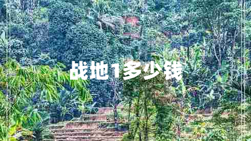 戰(zhàn)地1多少錢