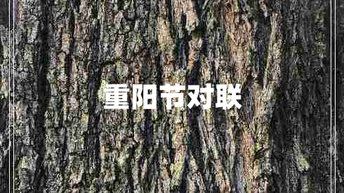 重陽(yáng)節(jié)對(duì)聯(lián)