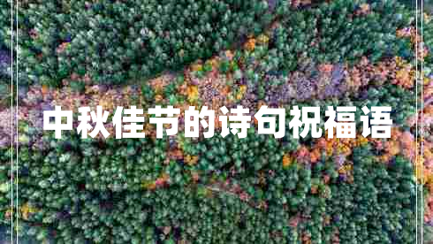 中秋佳節(jié)的詩(shī)句祝福語(yǔ)
