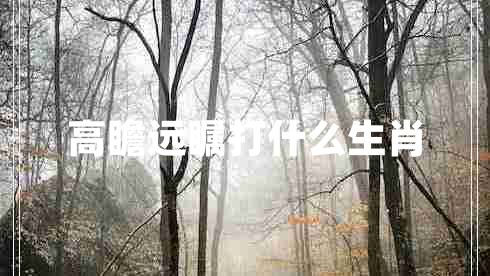 高瞻遠(yuǎn)矚打什么生肖