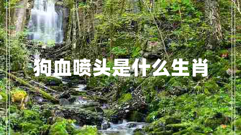 狗血噴頭是什么生肖