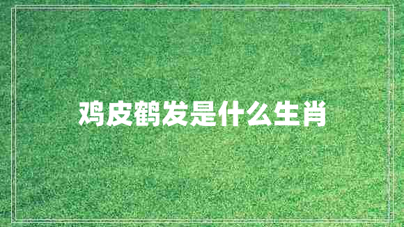 雞皮鶴發(fā)是什么生肖